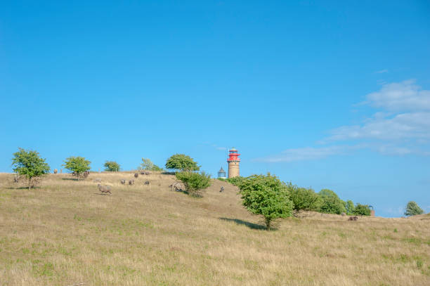Countryside at Cape Arkona