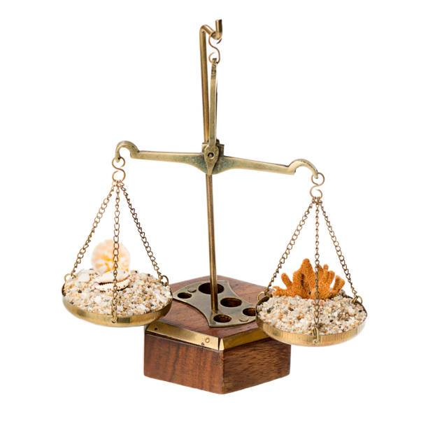 Scales of justice with sand and sea shells over white background for judiciary holiday concept