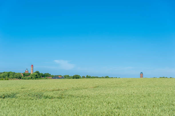Landscape with cornfield at Cape Arkona