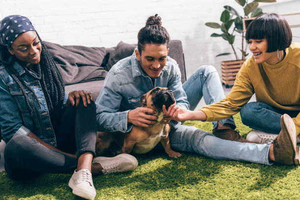 istock group of smiling multiethnic friends playing with dog 1011849804