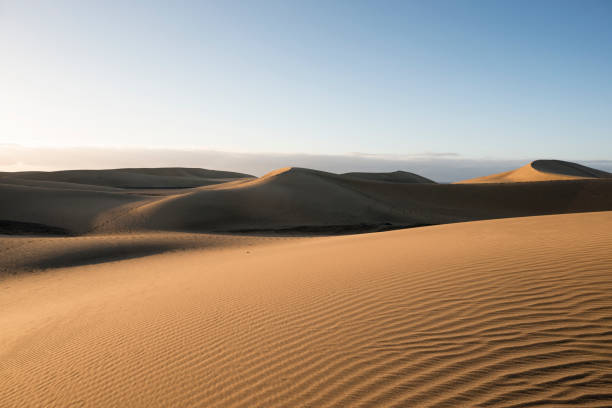 istock Sand dunes of the Maspalomas desert 1011852358
