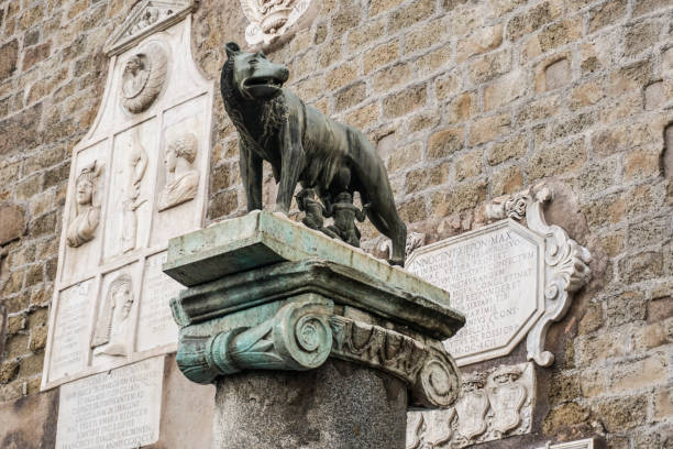 die kapitolinische wölfin statue - piazza del campidoglio statue rome animal stock-fotos und bilder