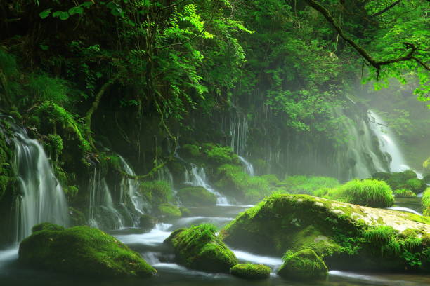 istock Summer mototaki  falls underwater water 1011857540