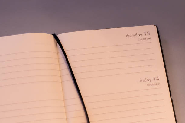 istock Open pages of a planner used by a student 1011860218