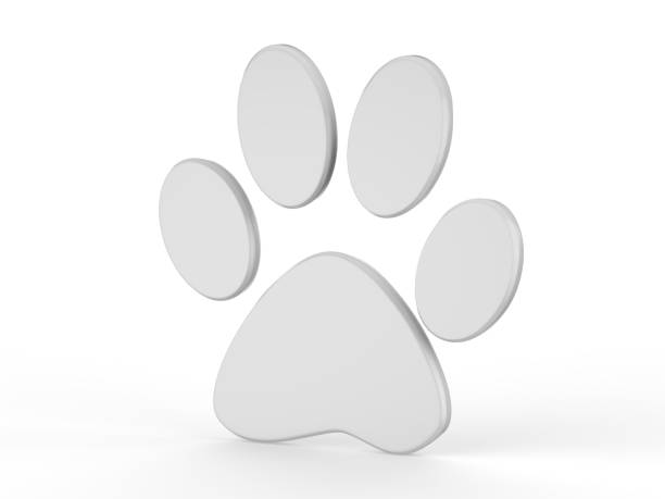 istock Paw icon on isolated white background, 3d illustration 1011867408