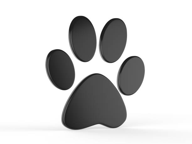 istock Paw icon on isolated white background, 3d illustration 1011867452
