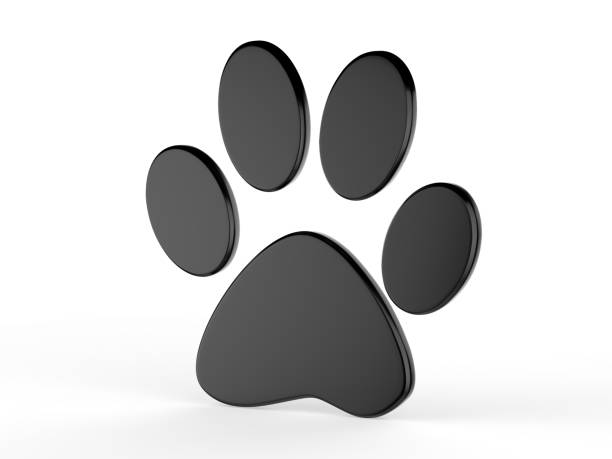 istock Paw icon on isolated white background, 3d illustration 1011867462