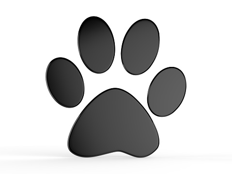 Mammal, Animal, Paw, Puppy, Footprint