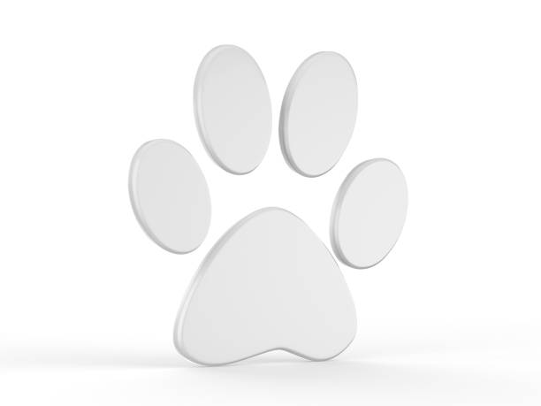 istock Paw icon on isolated white background, 3d illustration 1011867736
