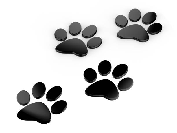 istock Trail of paw prints, 3d illustration 1011868282