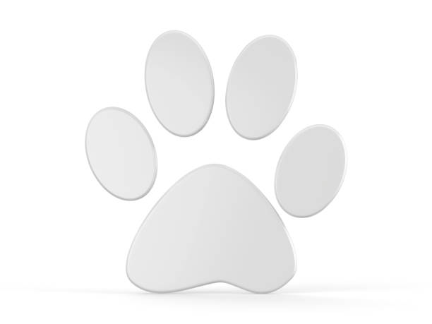 istock Paw icon on isolated white background, 3d illustration 1011868340