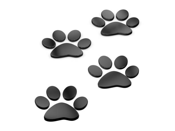 istock Trail of paw prints, 3d illustration 1011868374