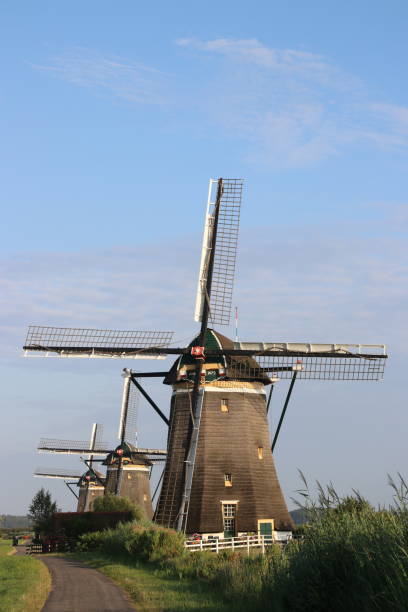 tre mulini a vento di fila per mantenere asciutto il driemanpolder a stompwijk, leidschendam nei paesi bassi - leidschendam foto e immagini stock