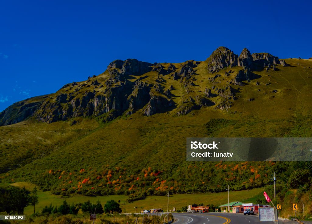 Montanha floreado de Papallacta - Foto de stock de Cena Rural royalty-free