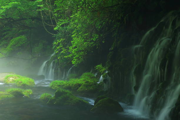 istock Summer mototaki  falls underwater water 1011880744