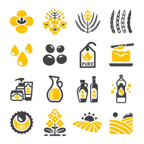 rapeseed icon rapeseed and canola oil icon set inflorescence stock illustrations