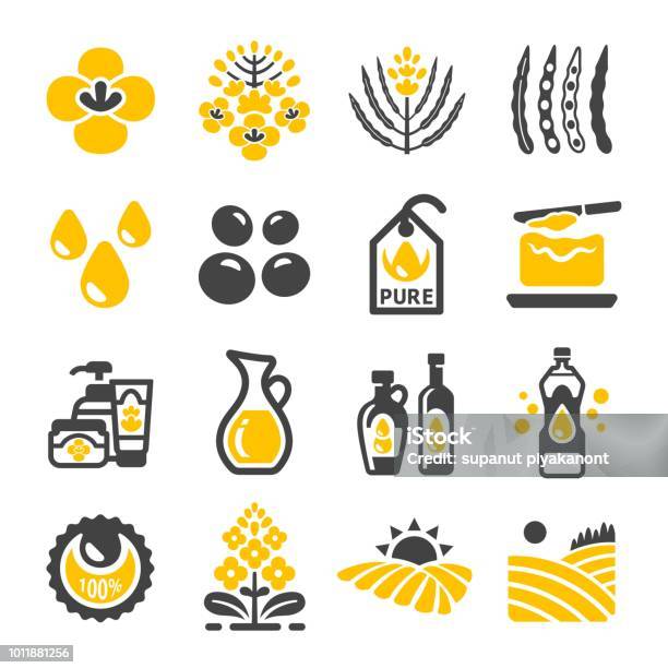 Rapeseed Icon Stock Illustration - Download Image Now - Oilseed Rape, Icon Symbol, Canola