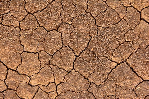 cracked dry brown earth Textured background of cracked dry brown earth dry cracked soil stock pictures, royalty-free photos & images