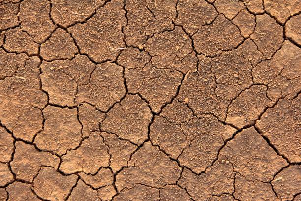 трещины сухой коричневой земле - global warming cracked dirt earth стоковые фото и изображения