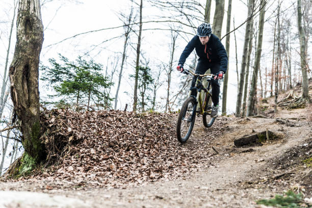 istock Mountain biker in the woods 1011887080
