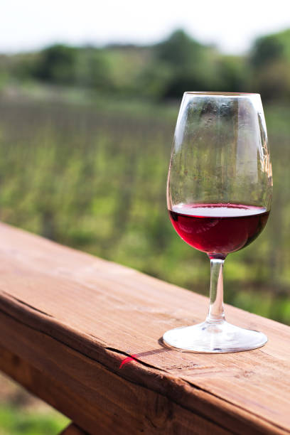 istock Glasses with wine. Red, pink, white wine in glasses. 1011887586