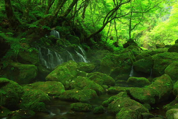 istock Summer mototaki  falls underwater water 1011892798