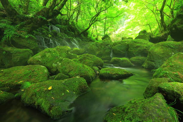 istock Summer mototaki  falls underwater water 1011892926