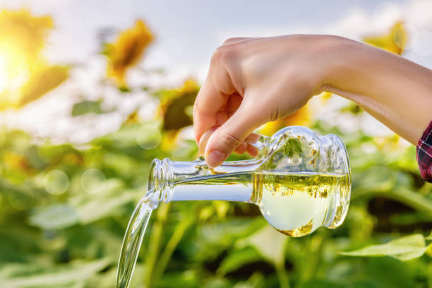 istock Oil Vegetable is poured. 1011893286