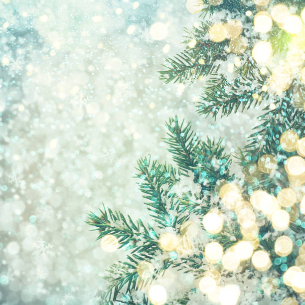 istock Closeup of Christmas-tree 1011895862