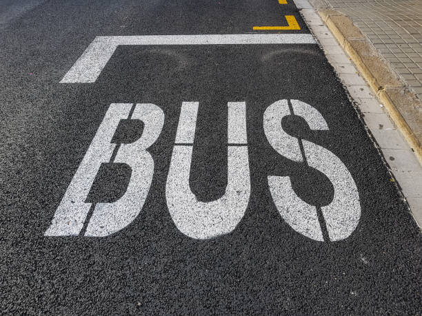 istock Painted inscription BUS on the road surface 1011896094