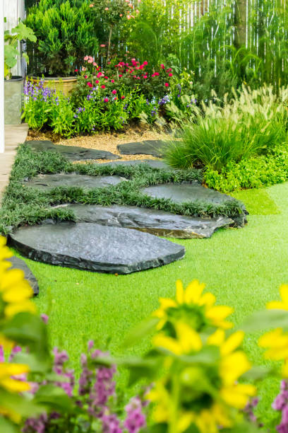 istock Cobblestone pathway in the garden. 1011896186