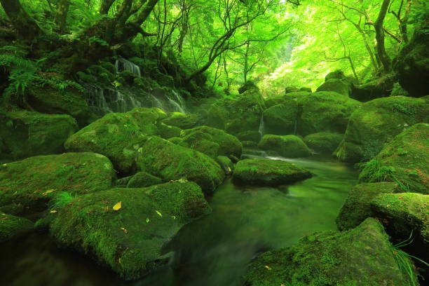 istock Summer mototaki  falls underwater water 1011896632