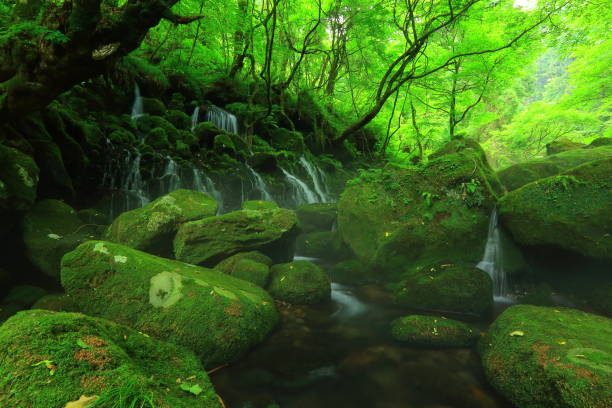 istock Summer mototaki  falls underwater water 1011899612