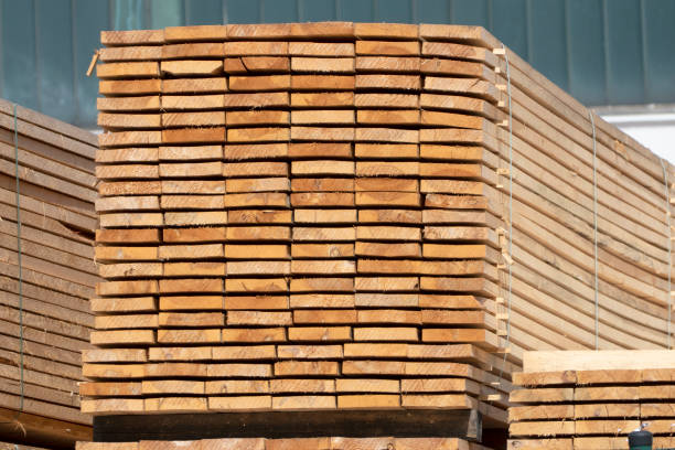 istock Big pile of lumber 1011899728