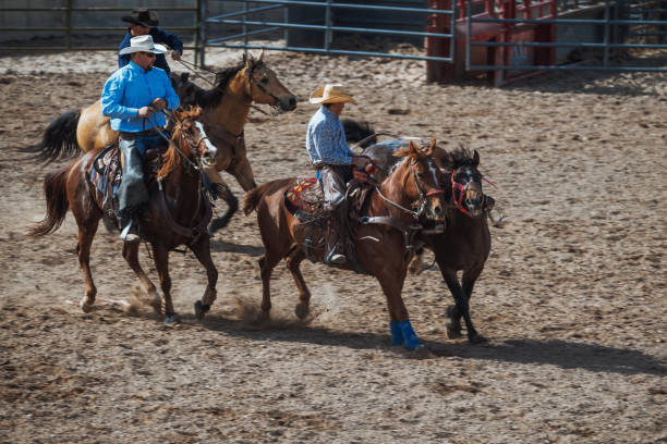 istock Stampede rodeo in America 1011899940