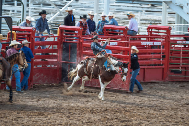 istock Stampede rodeo in America 1011901172