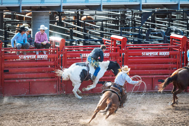 istock Stampede rodeo in America 1011901180
