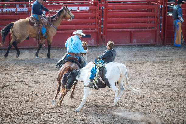 istock Stampede rodeo in America 1011901264