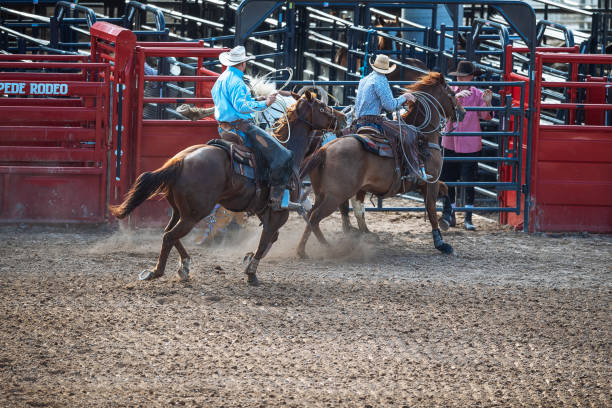 istock Stampede rodeo in America 1011905904