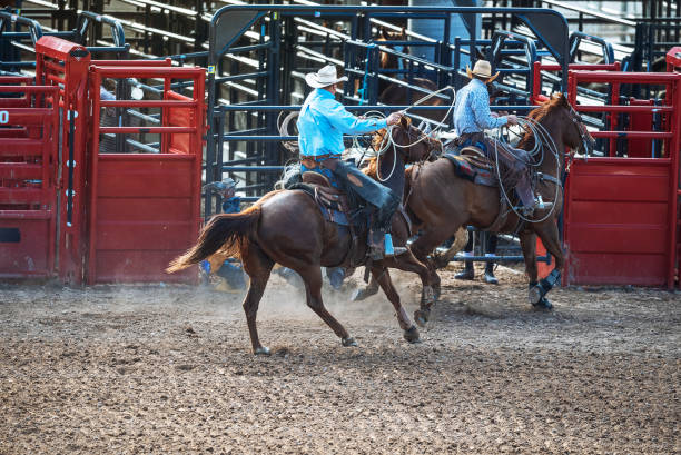 istock Stampede rodeo in America 1011906262