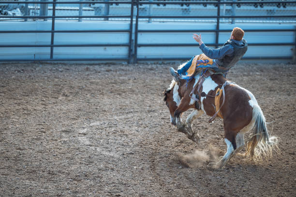 istock Stampede rodeo in America 1011906426