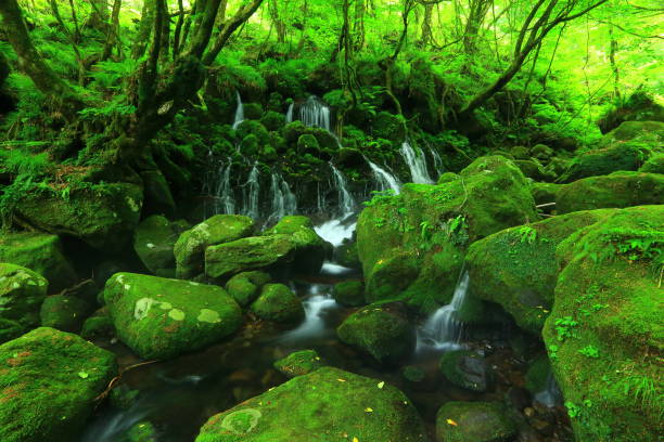 istock Summer mototaki  falls underwater water 1011908538