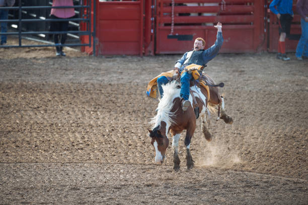 istock Stampede rodeo in America 1011911442