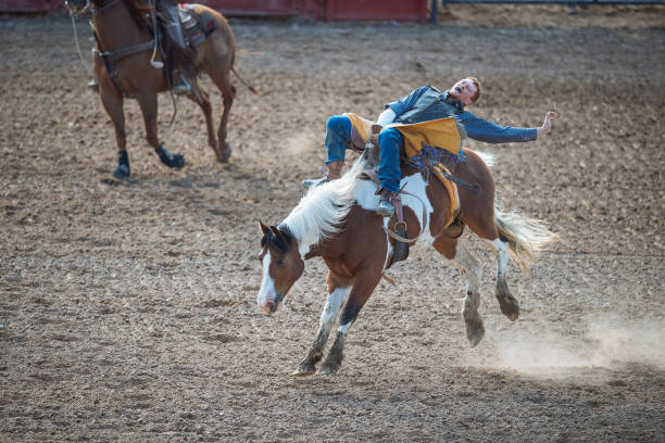 istock Stampede rodeo in America 1011911452