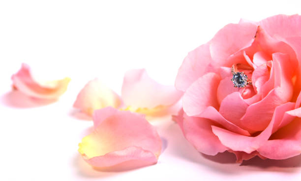 istock Golden wedding rings 1011911472