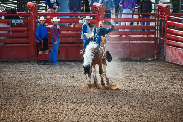 istock Stampede rodeo in America 1011912024