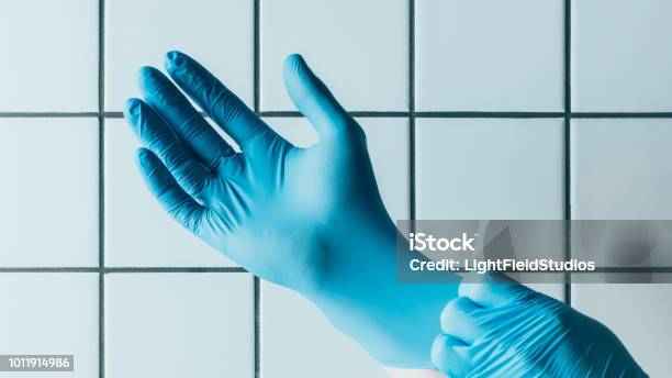 Cropped Shot Of Medical Worker Putting On Blue Rubber Gloves In Front Of Tiled White Wall Stock Photo - Download Image Now