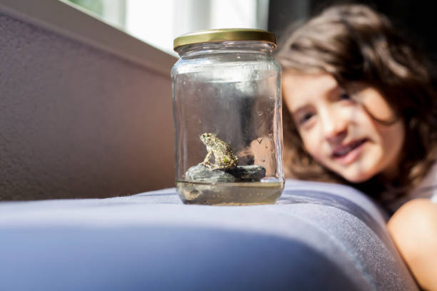 istock child observe a frog in a jar 1011922970
