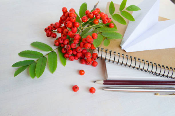 istock First day of school theme. 1011923548
