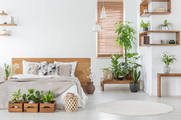 photo réelle d’un intérieur de chambre botanique avec étagères en bois, tables, lit double, plantes et mur vide à côté d’une fenêtre avec stores. placez votre peinture - photography decor blinds home interior photos et images de collection